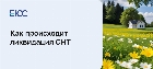 Ликвидация СНТ