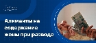 Алименты на содержание жены при разводе
