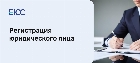 Регистрация юридического лица