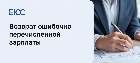 Возврат излишне выплаченной заработной платы