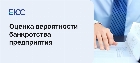 Оценка вероятности банкротства предприятия