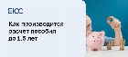 Расчет пособия до 1,5 лет