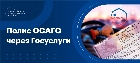Полис ОСАГО через Госуслуги