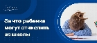За что могут отчислить из школы ребенка?
