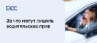 За что могут лишить водительских прав