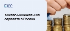 Минимальная зарплата в России