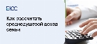 Как рассчитать среднедушевой доход семьи