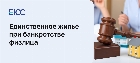 Единственное жилье при банкротстве физического лица