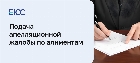 Апелляционная жалоба по алиментам