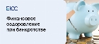 Финансовое оздоровление при банкротстве