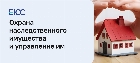 Охрана и управление наследственным имуществом