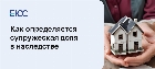 Супружеская доля в наследстве