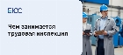 Как подать жалобу в трудовую инспекцию