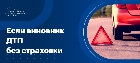 Что делать, если виновники ДТП без страховки