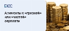 Алименты с грязной и с чистой зарплаты