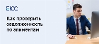 Как узнать задолженность по алиментам по фамилии