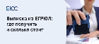 Выписка из ЕГРЮЛ