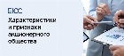 Акционерное общество: управление, открытие