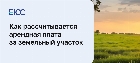 Аренда лесных участков и его особенности