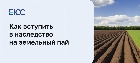 Земельный пай в наследство