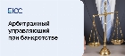 Кто такой арбитражный управляющий
