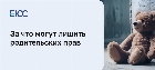 За что могут лишить родительских прав