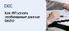 ОКПО у ИП
