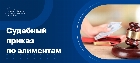 Судебный приказ по алиментам