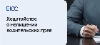 Ходатайство о не лишении водительских прав