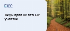 Виды прав на лесные участки