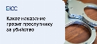 Ст. 105 УК РФ: убийство