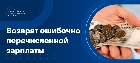 Возврат излишне выплаченной заработной платы