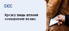 Кража
