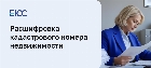 Расшифровка кадастрового номера