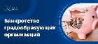  Банкротство градообразующих организаций