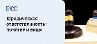 Юридическая ответственность