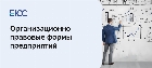 Что такое организационно-правовая форма: классификация