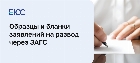Образцы и бланки заявлений на развод в ЗАГС