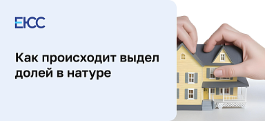 Выдел долей в натуре