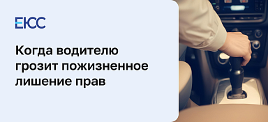 Пожизненное лишение прав