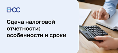 Сдача налоговой отчетности