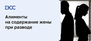 Алименты на содержание жены