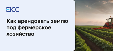Как арендовать землю под фермерское хозяйство