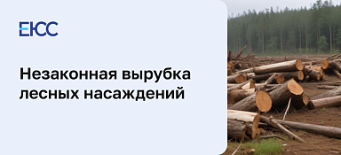 Незаконная вырубка лесов