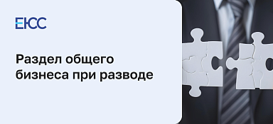 Как разделить ООО при разводе