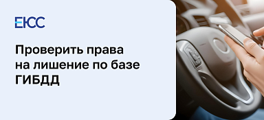 Как проверить права на лишение по базе ГИБДД
