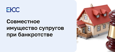 Совместное имущество супругов при банкротстве