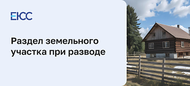 Раздел земельного участка при разводе