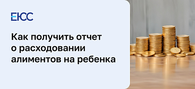 Отчет по алиментам