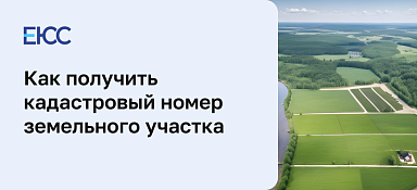 Как получить кадастровый номер земельного участка
